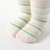 Toddler Boys' 8pk Dinosaur & Car Cotton Crew Socks