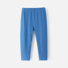 Boys' Soft Thermal Lounge Pajama Pants - Blue