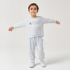 Toddler Boys' 2pk TENCEL™ Modal& Cotton Pullover Tops