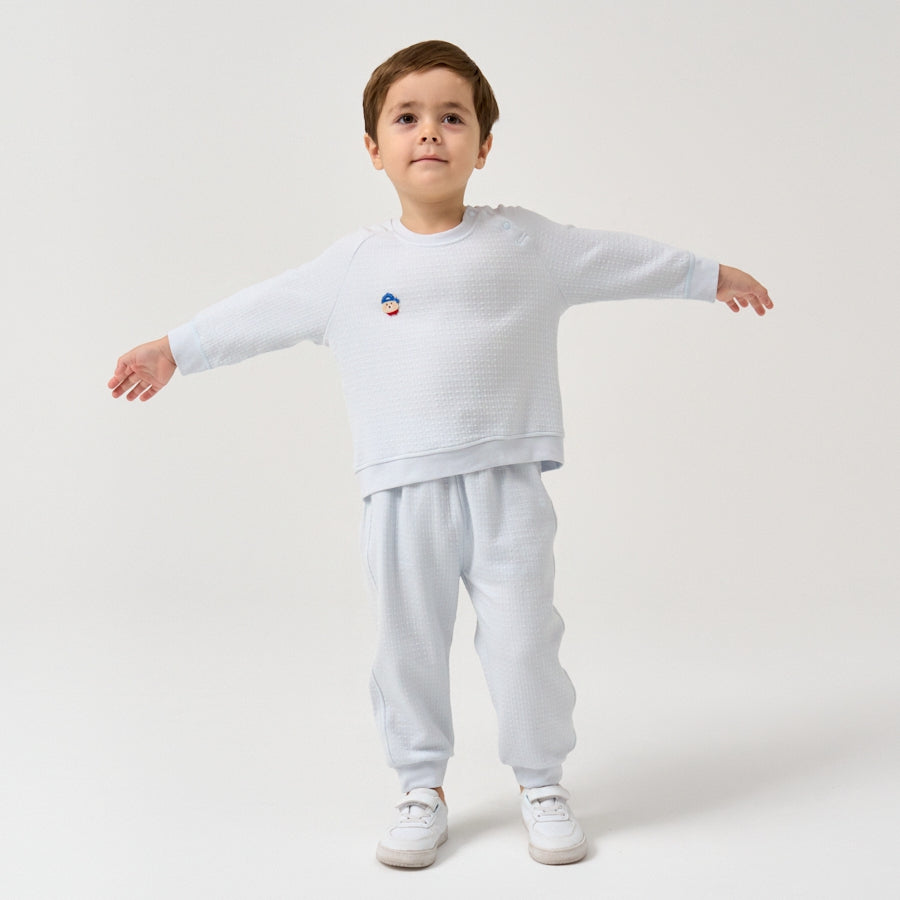 Toddler Boys' 2pk TENCEL™ Modal& Cotton Pullover Tops