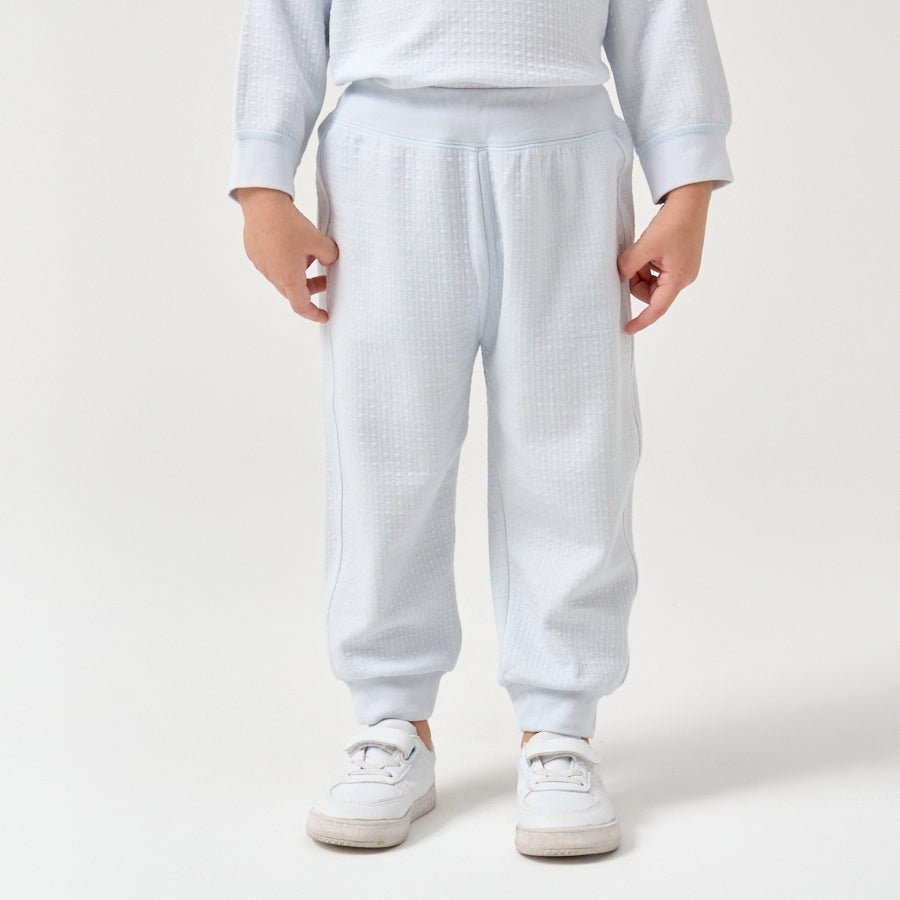 Toddler Boys' 2pk TENCEL™ Modal Jogger Pants