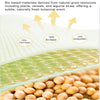 Little Plant Adult Zero-Pressure Bio-Based Flat Pillow （with 2 pillowcases) - back view