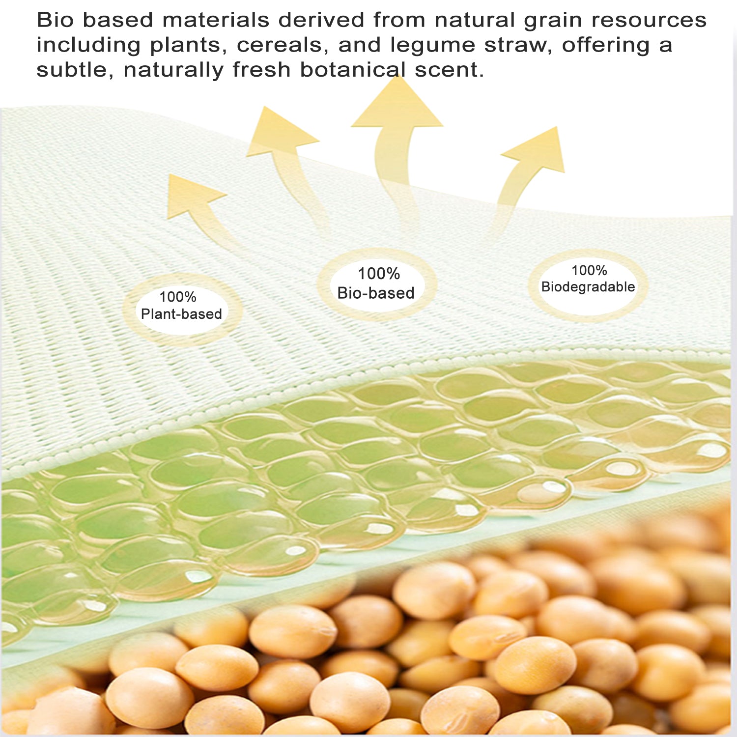 Little Plant Adult Zero-Pressure Bio-Based Flat Pillow （with 2 pillowcases) - back view